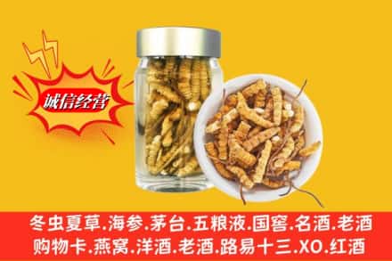 涟源市回收散虫草