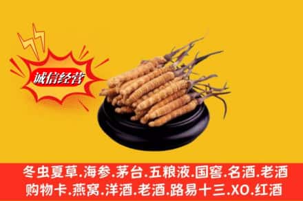 涟源市求购回收虫草多少钱每克